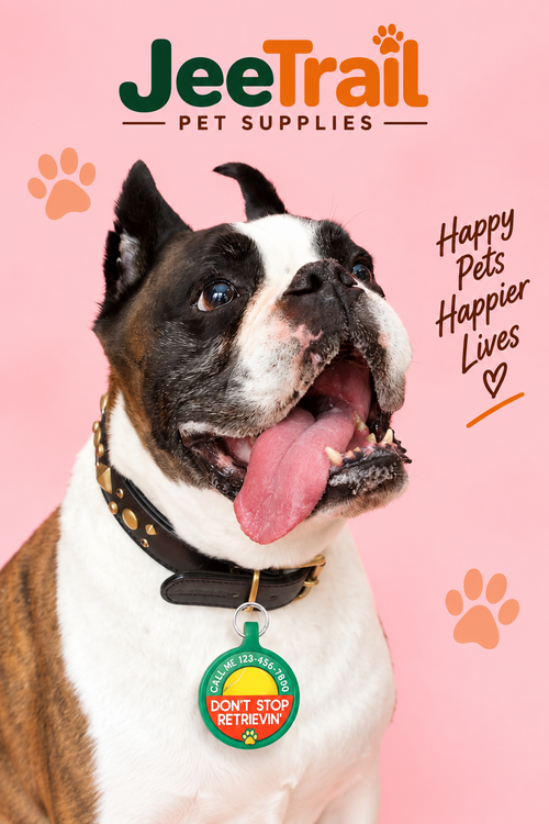 Personalized Pet ID Tag – Custom Dog & Cat Name Tag