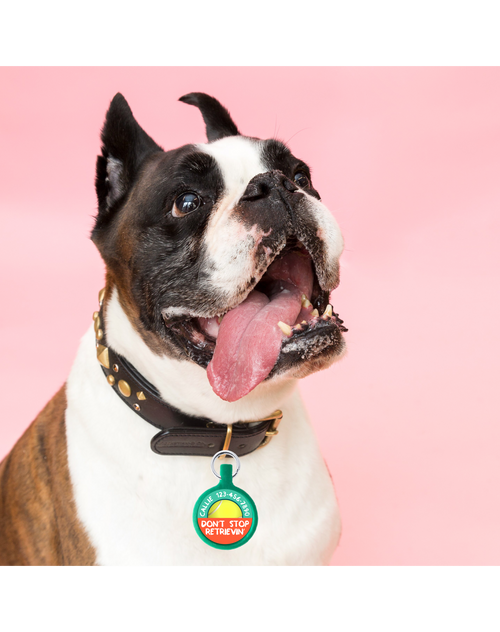 Personalized Pet ID Tag – Custom Dog & Cat Name Tag
