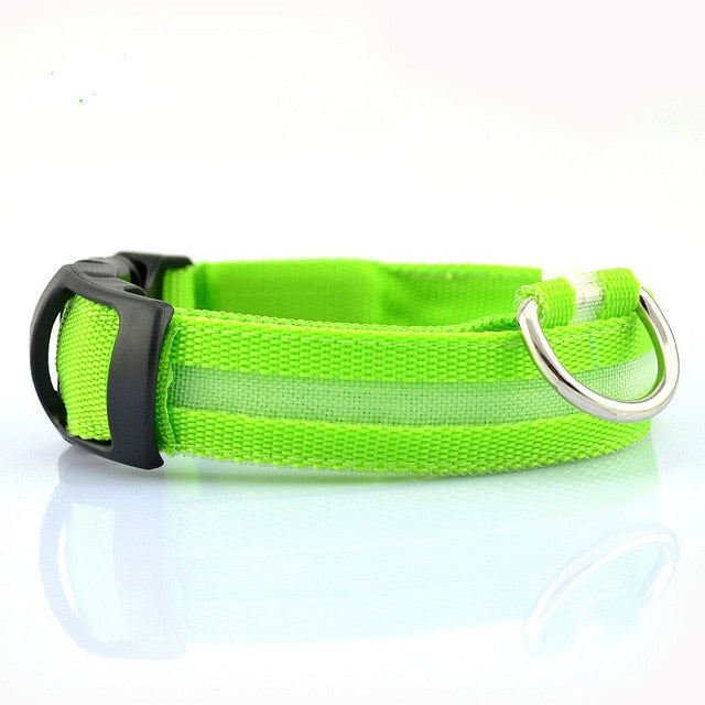 JeeTrail™ LED Glow Dog Collar — 2 Pack