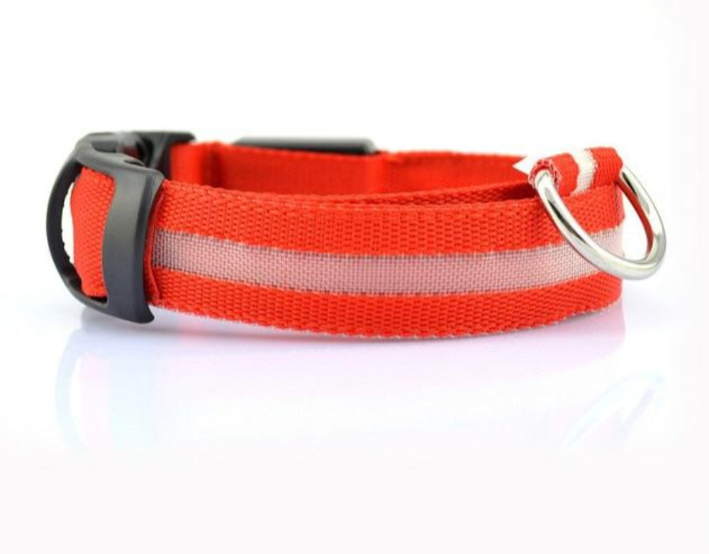 JeeTrail™ LED Glow Dog Collar — 2 Pack