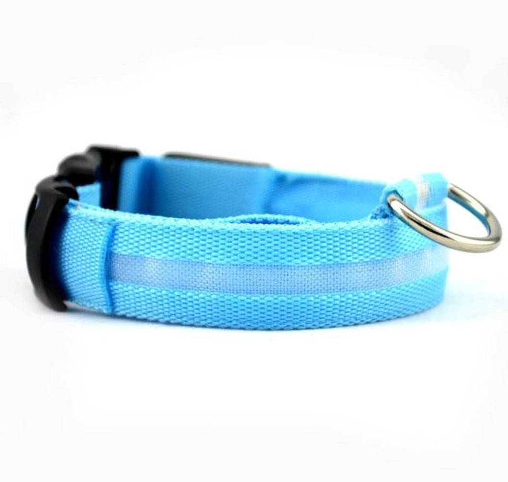 JeeTrail™ LED Glow Dog Collar — 2 Pack