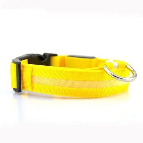 JeeTrail™ LED Glow Dog Collar — 2 Pack