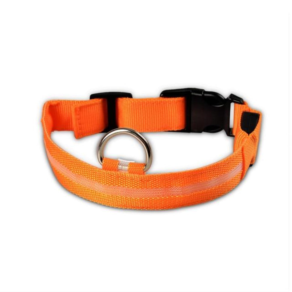 JeeTrail™ LED Glow Dog Collar — 2 Pack